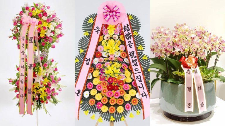축하화환 대표